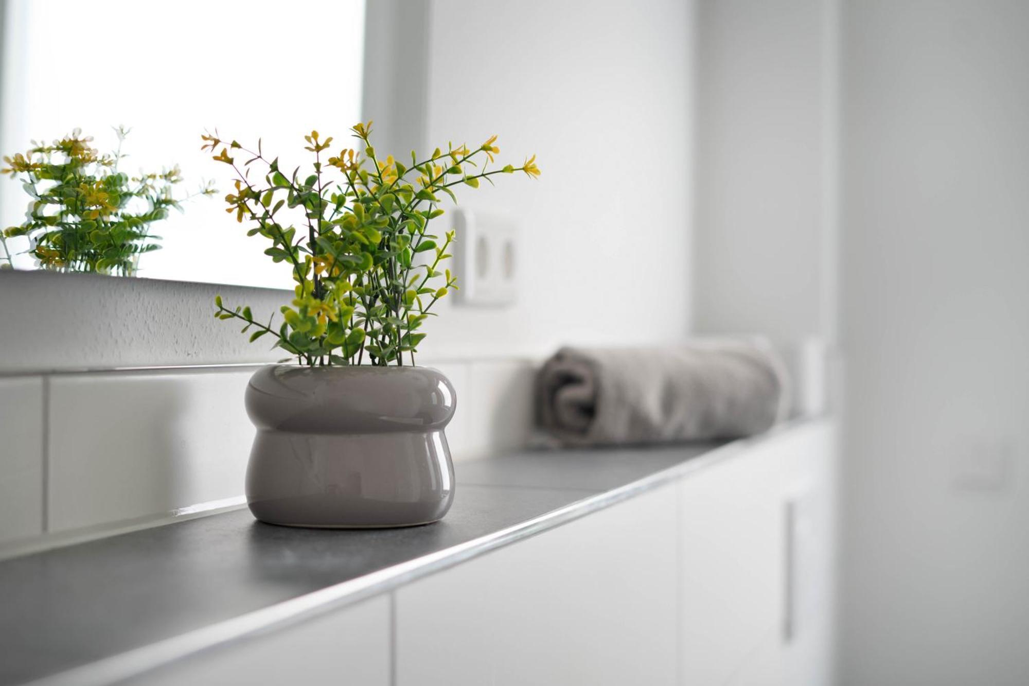 Schoene Apartments In Lengerich I Home2Share المظهر الخارجي الصورة